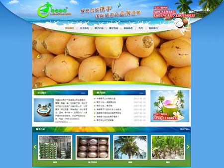 文昌創欣椰子產品有限公司網站建設