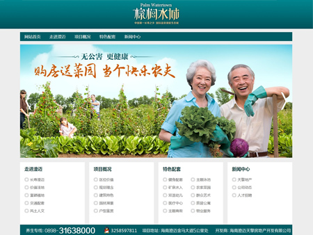 海南澄邁天擎棕櫚水城項(xiàng)目網(wǎng)站網(wǎng)站建設(shè)