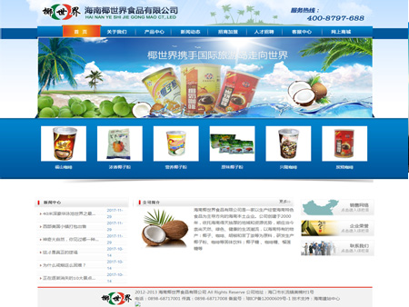 海南椰世界工貿有限公司網站建設