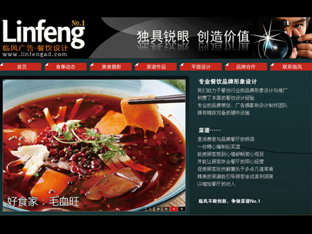 海口臨風廣告有限公司網站建設