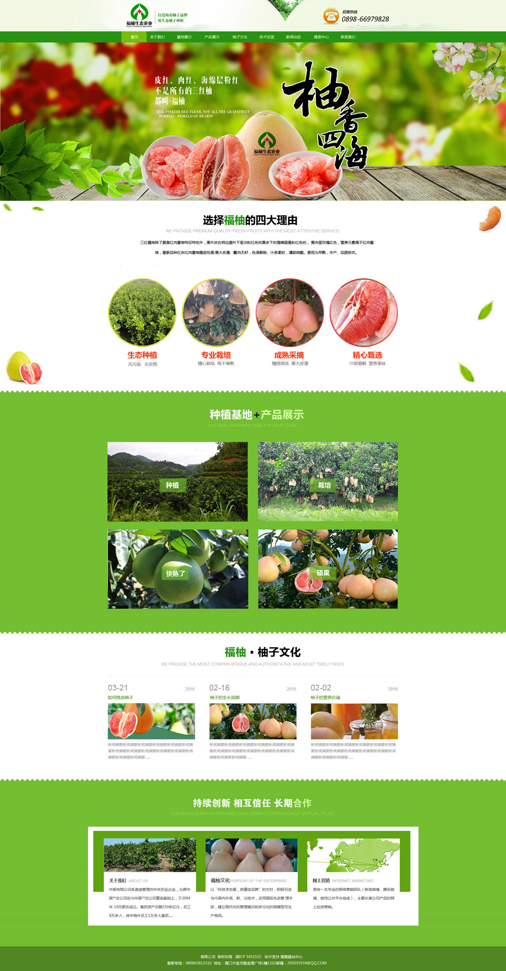 海南福柚生態(tài)農(nóng)業(yè)有限公司-海南福柚-海南三紅柚-臨高柚子-海南柚子基地d.jpg