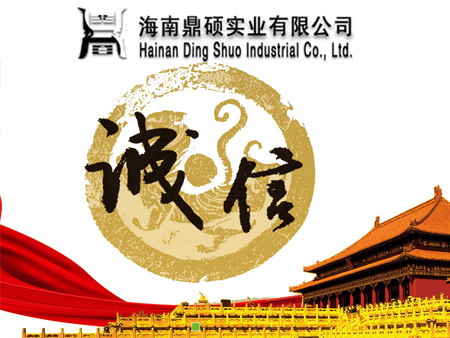 海南鼎碩實業有限公司網站建設