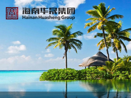 海南華晟集團(tuán)網(wǎng)站建設(shè)