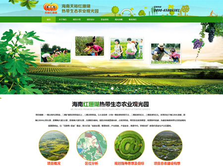 海南天裕紅珊瑚農業開發有限公司網站建設
