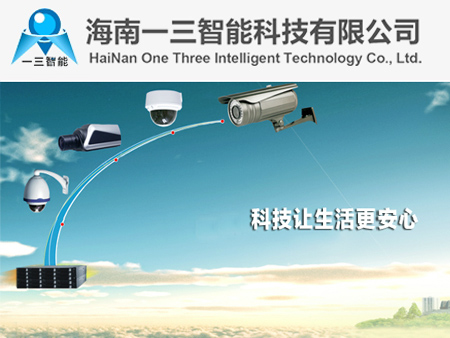 海南一三智能科技有限公司網站建設