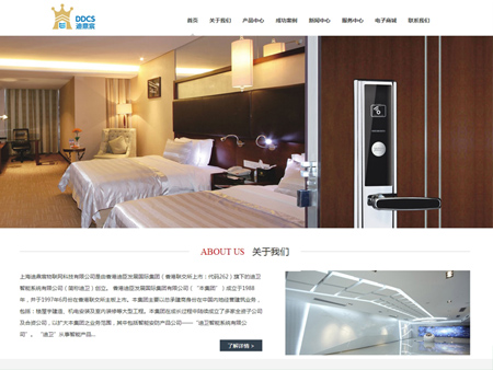 上海迪鼎宸物聯網科技有限公司網站建設