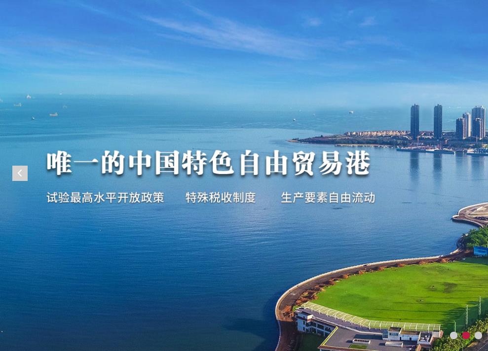 申免（海南）國際貿易有限公司網站建設