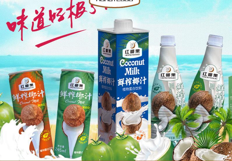 海南紅椰果食品有限公司網(wǎng)站建設