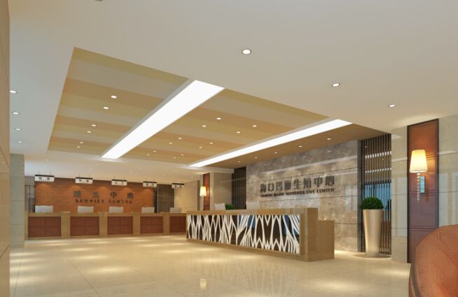 海口瑪麗醫院網站建設