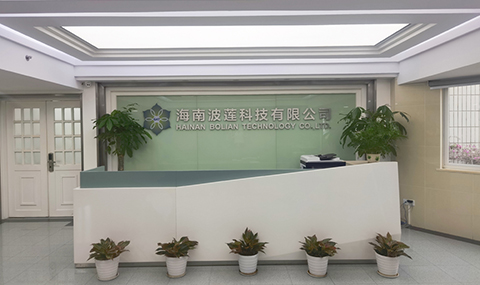 品牌形象網站建設解決方案
